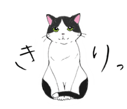Cat sticker -six cats- sticker #10839551