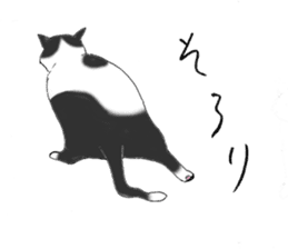 Cat sticker -six cats- sticker #10839552