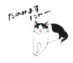 Cat sticker -six cats- sticker #10839553