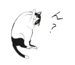 Cat sticker -six cats- sticker #10839555