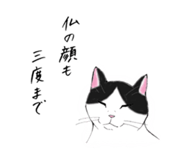 Cat sticker -six cats- sticker #10839557