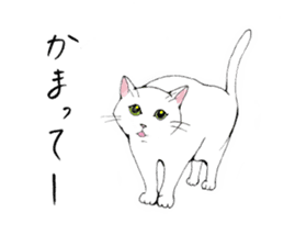 Cat sticker -six cats- sticker #10839560