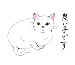 Cat sticker -six cats- sticker #10839563