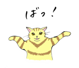 Cat sticker -six cats- sticker #10839573