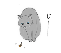 Cat sticker -six cats- sticker #10839577