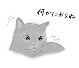 Cat sticker -six cats- sticker #10839579