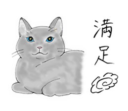 Cat sticker -six cats- sticker #10839583