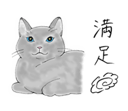 Cat sticker -six cats- sticker #10839583