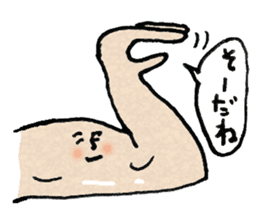 Muscles of the arm sticker #10839589