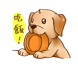 Labrador sticker #10839785
