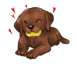 Labrador sticker #10839789