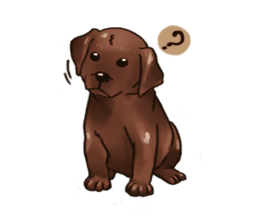 Labrador sticker #10839790