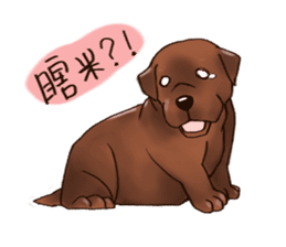 Labrador sticker #10839793