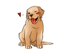 Labrador sticker #10839794