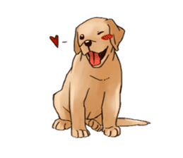 Labrador sticker #10839794