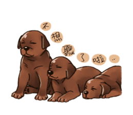 Labrador sticker #10839799