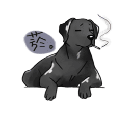 Labrador sticker #10839800