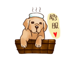 Labrador sticker #10839801