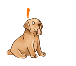 Labrador sticker #10839803