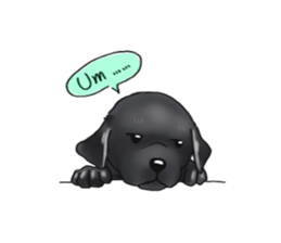Labrador sticker #10839809