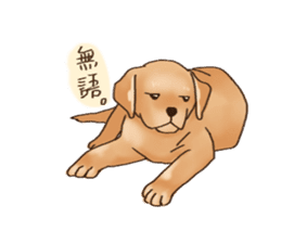 Labrador sticker #10839812