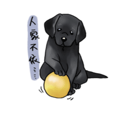 Labrador sticker #10839815