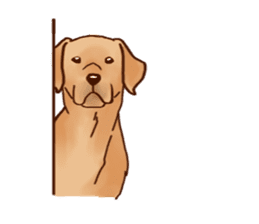Labrador sticker #10839821