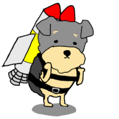 The name of this dog is ANKO.