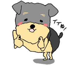 The name of this dog is ANKO. sticker #10840544