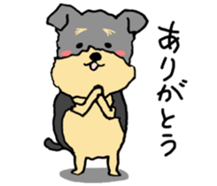 The name of this dog is ANKO. sticker #10840545