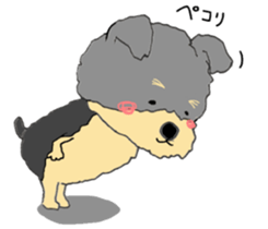 The name of this dog is ANKO. sticker #10840548