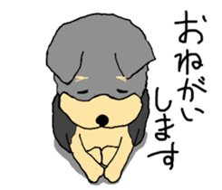The name of this dog is ANKO. sticker #10840551