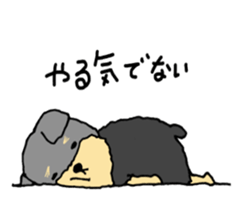 The name of this dog is ANKO. sticker #10840553