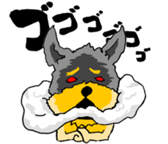 The name of this dog is ANKO. sticker #10840558