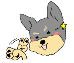 The name of this dog is ANKO. sticker #10840559