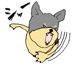 The name of this dog is ANKO. sticker #10840560