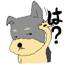 The name of this dog is ANKO. sticker #10840562