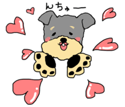 The name of this dog is ANKO. sticker #10840563