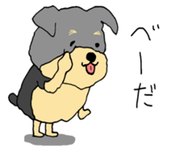 The name of this dog is ANKO. sticker #10840565