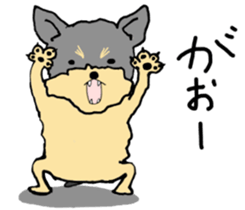 The name of this dog is ANKO. sticker #10840567
