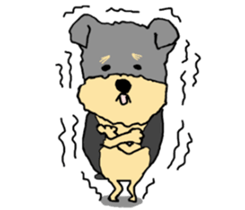 The name of this dog is ANKO. sticker #10840570