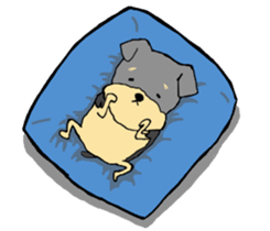 The name of this dog is ANKO. sticker #10840571