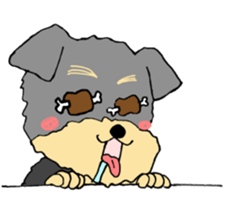 The name of this dog is ANKO. sticker #10840572