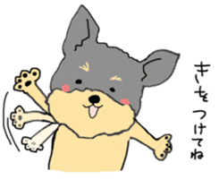 The name of this dog is ANKO. sticker #10840573