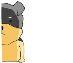 The name of this dog is ANKO. sticker #10840580