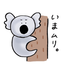 charming koala sticker sticker #10842241