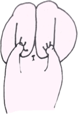 raugh usagi sticker #10843402