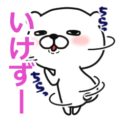 Kansai dialect white bear