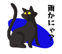 Murmur of black cat sticker #10847270