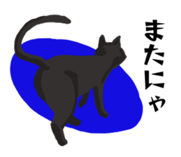 Murmur of black cat sticker #10847282